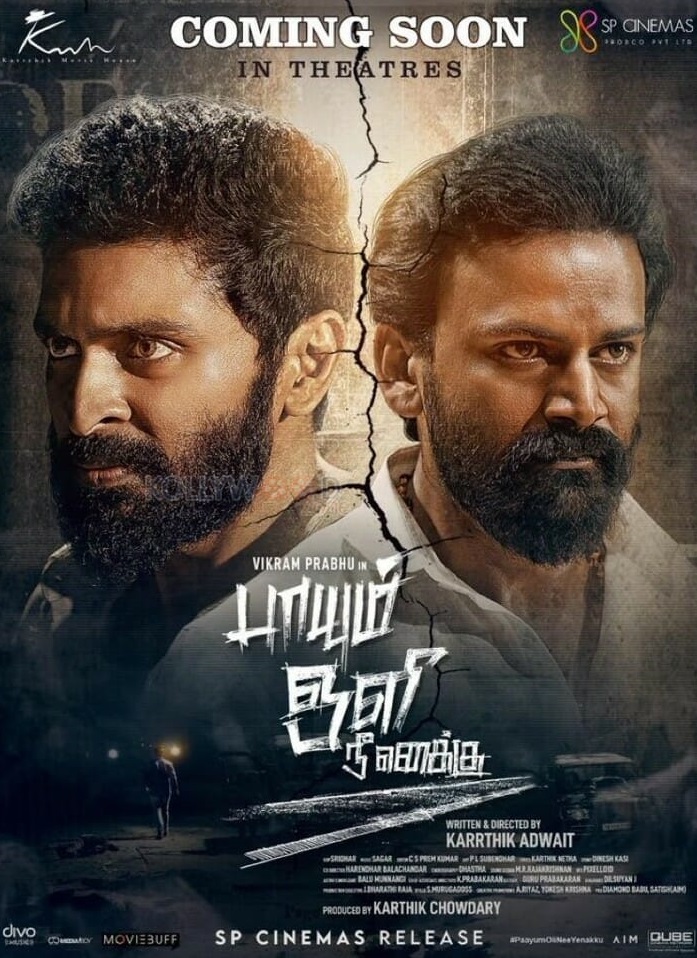 Paayum Oli Nee Yenakku 2023 Tamil Action Movie Online